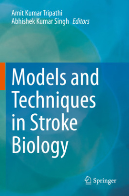 Models and Techniques in Stroke Biology