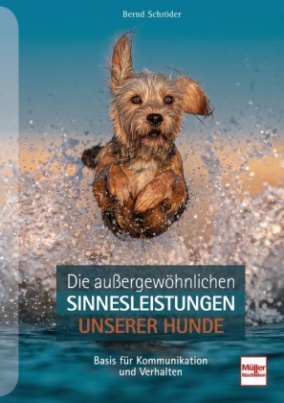 Die außergewöhnlichen Sinnesleistungen unserer Hunde