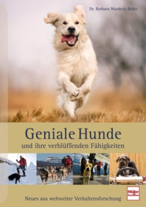 Geniale Hunde und ihre verblüffenden Fähigkeiten