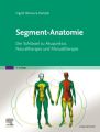 Segment-Anatomie