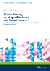 Akademisierung, Hybridqualifikationen und Fachkräftebedarf