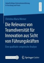 Die Relevanz von Teamdiversität für Innovation aus Sicht von Führungskräften