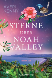 Sterne über Noah Valley