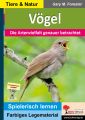 Vögel