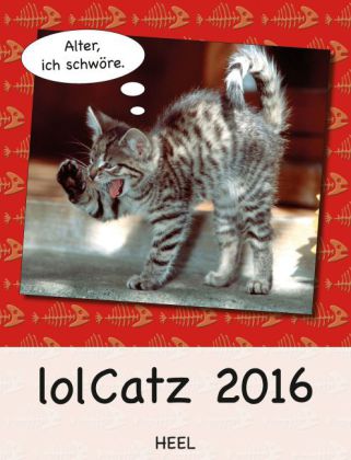 lolCatz 2016