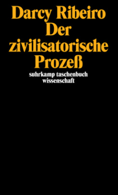 Der zivilisatorische Prozeß