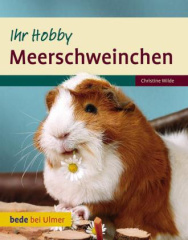 Meerschweinchen