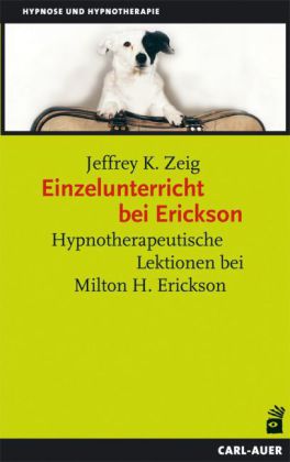 Einzelunterricht bei Erickson