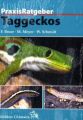 Taggeckos