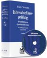 Jahresabschlussprüfung, m. CD-ROM