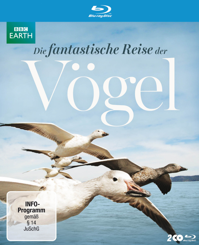 Die Fantastische Reise Der Vögel